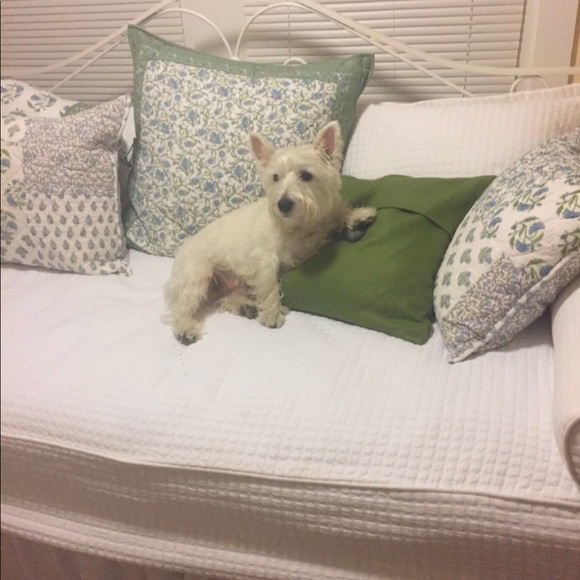 Meet your Posher, Donna. - Picture 3 of 4